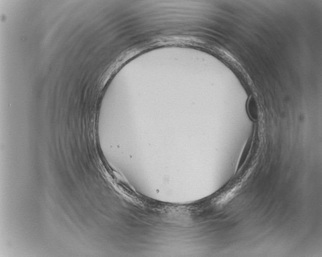 X0000052541041200507291845