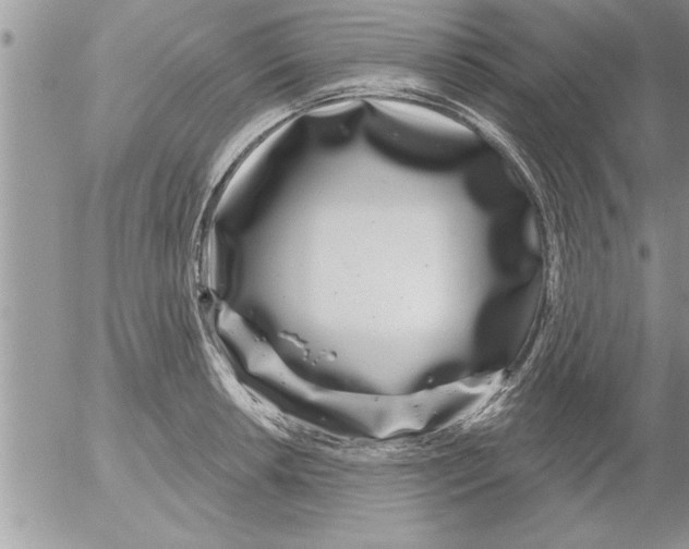 X0000052541042200507291845