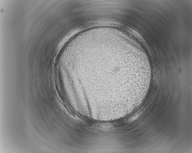 X0000052541043200507291845