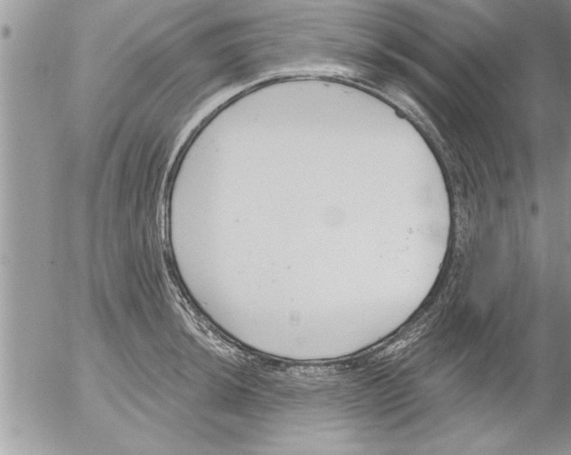 X0000052541044200507291845