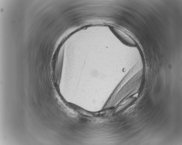 X0000052541045200507291845