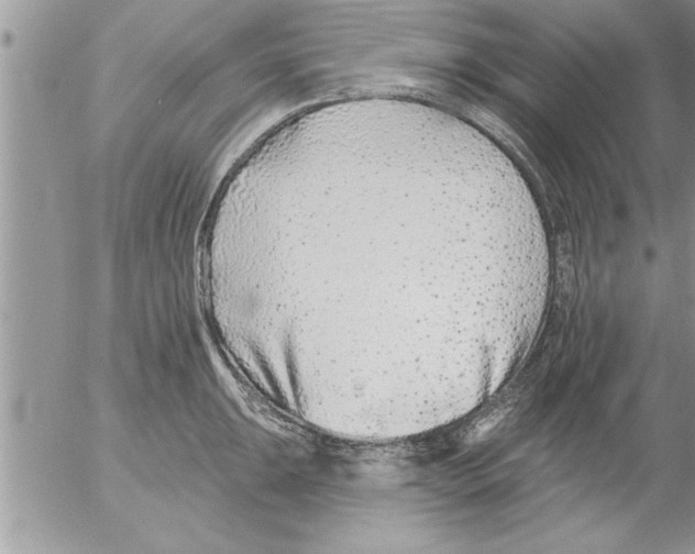 X0000052541047200507291845