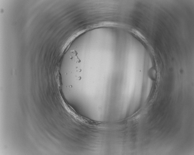 X0000052541049200507291845