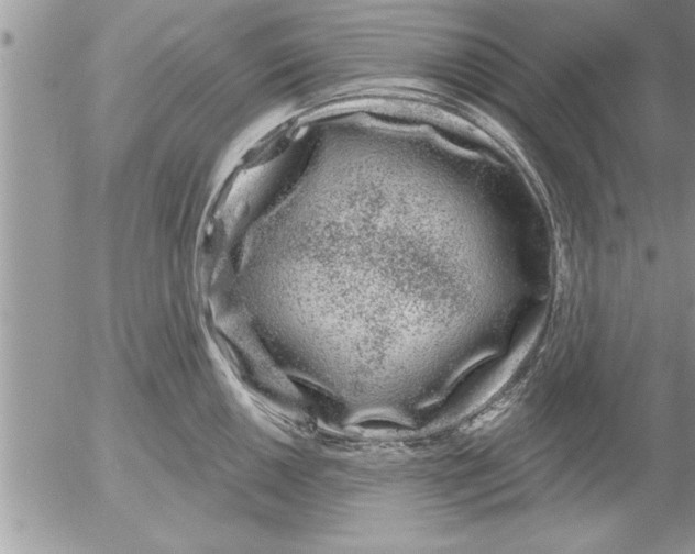 X0000052541050200507291845