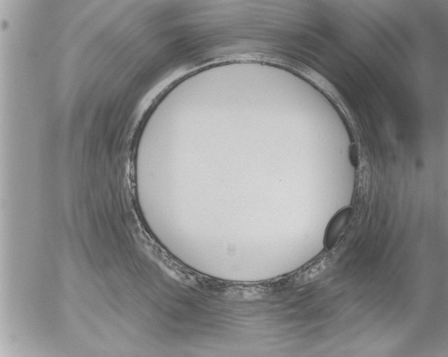 X0000052541051200507291845