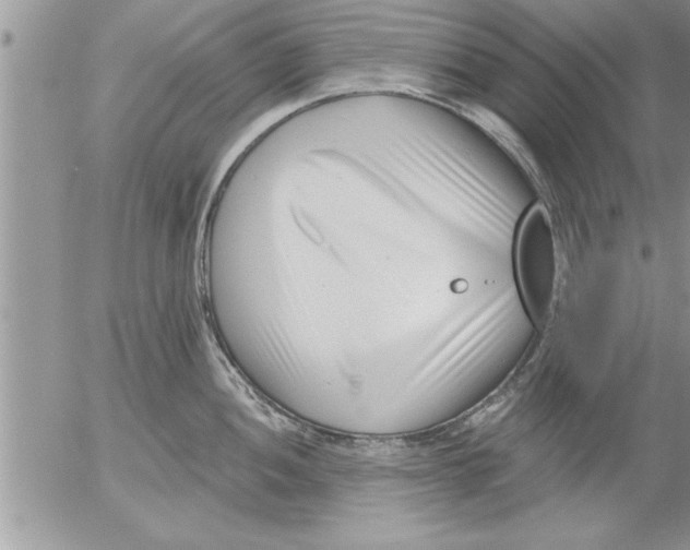 X0000052541052200507291845