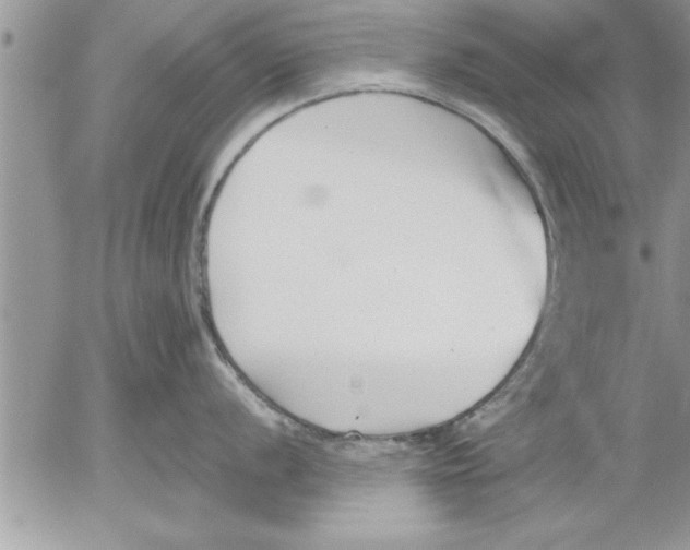 X0000052541056200507291845