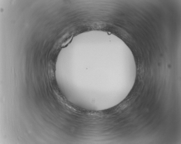 X0000052541058200507291845