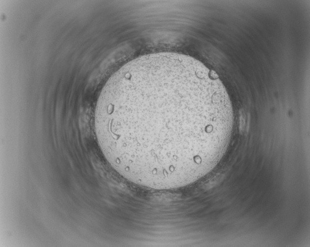 X0000052541059200507291845