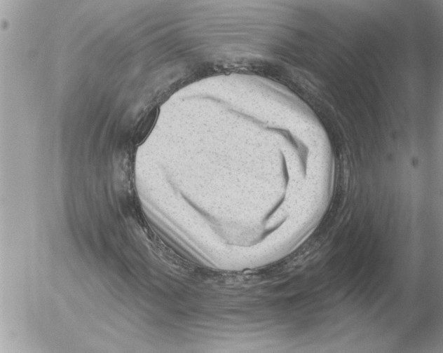 X0000052541060200507291845