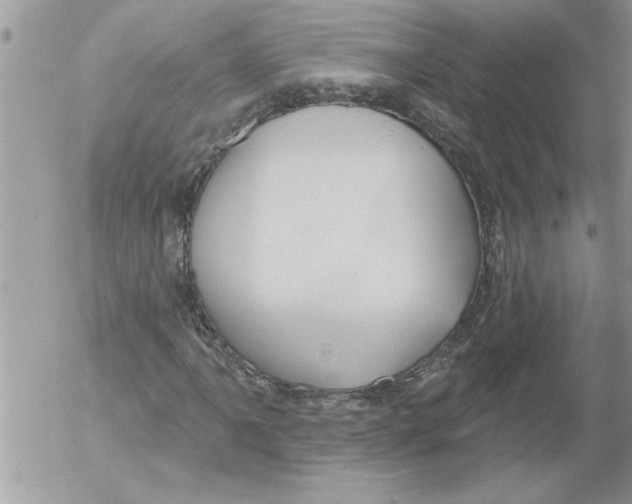 X0000052541061200507291845