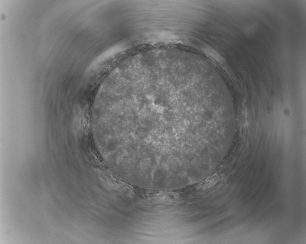 X0000052541063200507291845