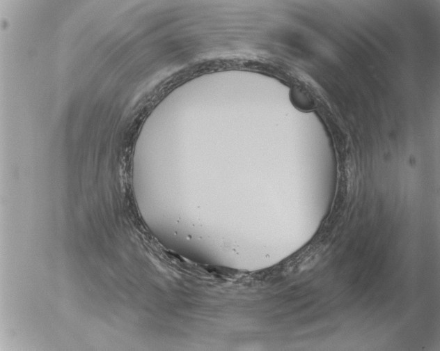 X0000052541064200507291845