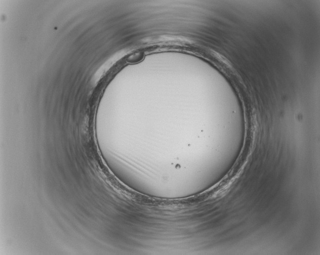 X0000052541066200507291844