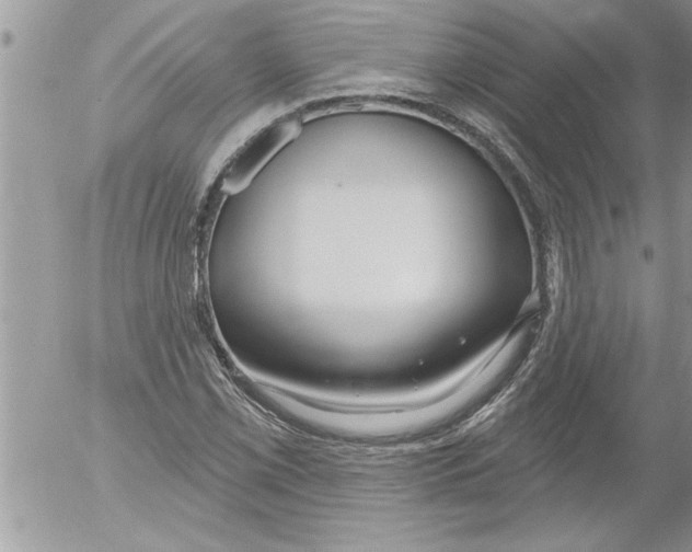 X0000052541069200507291844