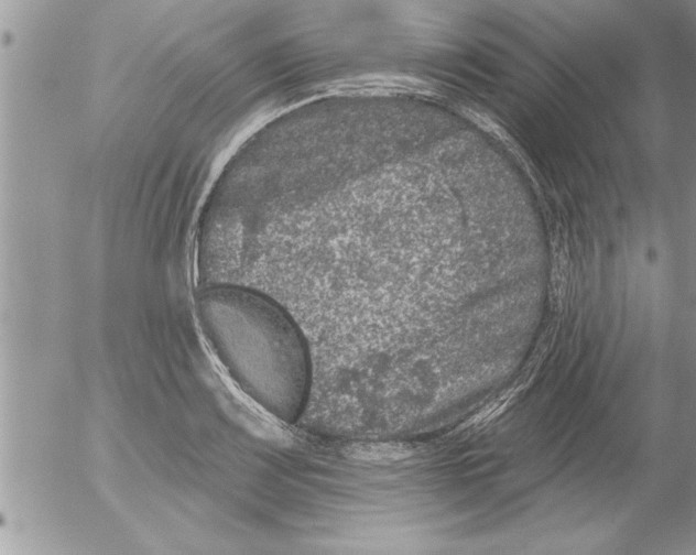 X0000052541083200507291844