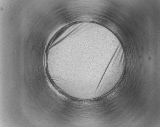 X0000052541084200507291844