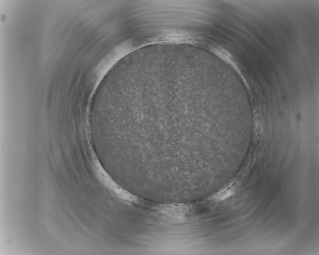 X0000052541091200507291844