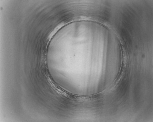 X0000052541097200507291844