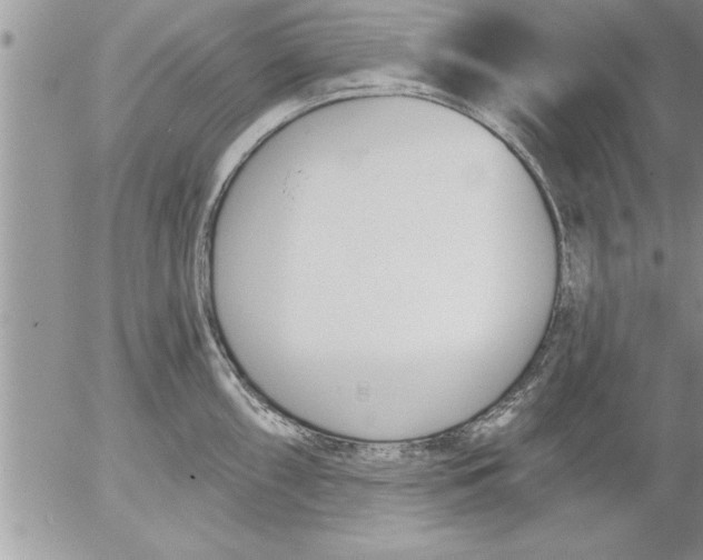 X0000052541098200507291844