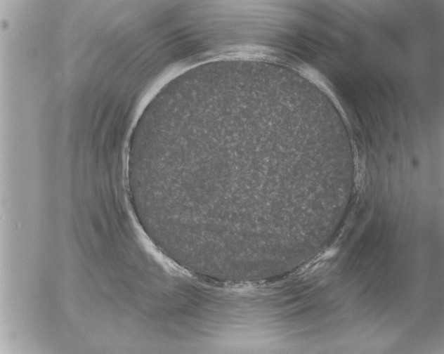 X0000052541099200507291844