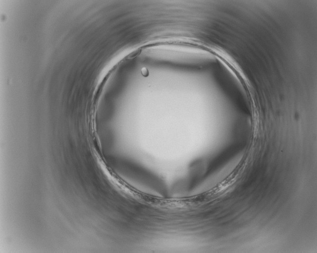 X0000052541101200507291844