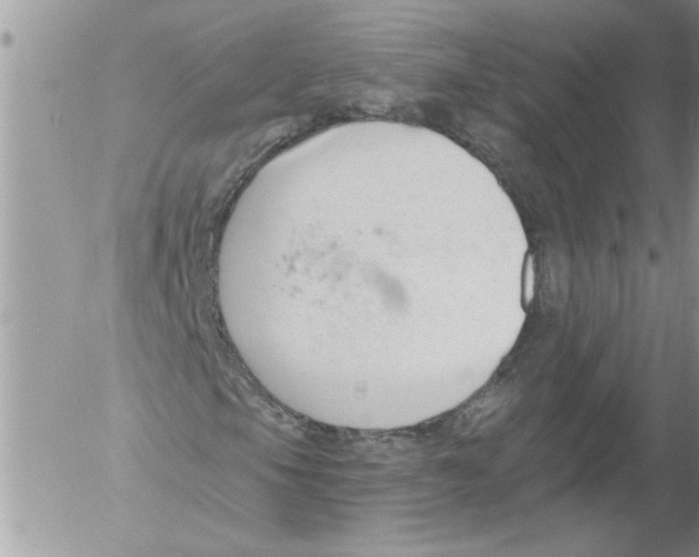 X0000052541105200507291843