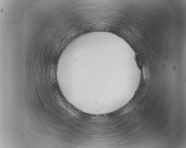 X0000052541107200507291843