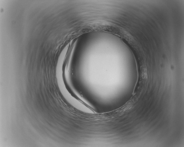 X0000052541108200507291843