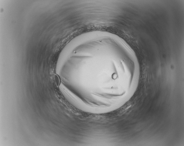 X0000052541109200507291843