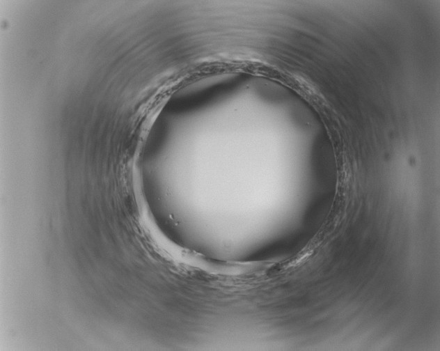 X0000052541110200507291843