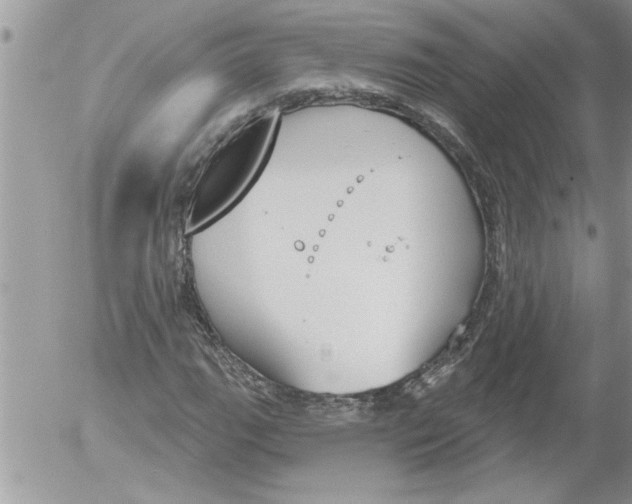 X0000052541111200507291843