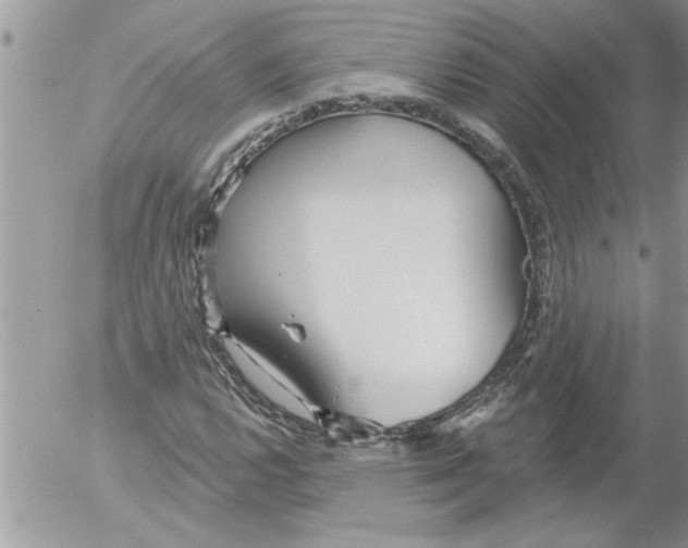 X0000052541112200507291843