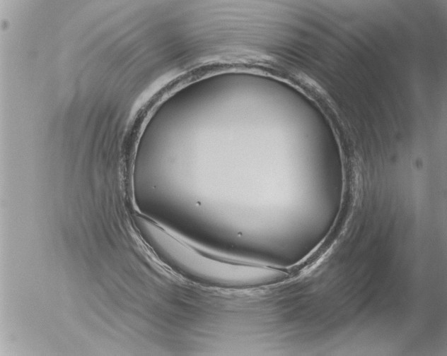 X0000052541114200507291843