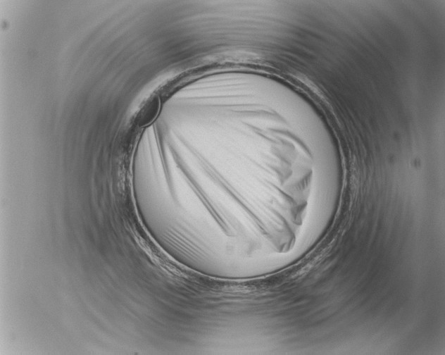 X0000052541115200507291843