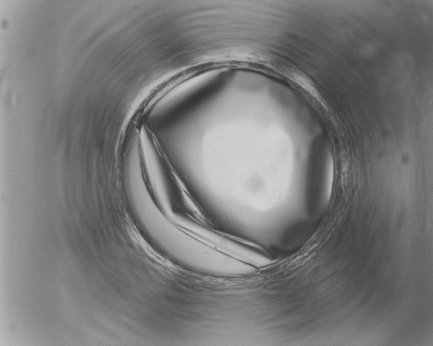 X0000052541116200507291843