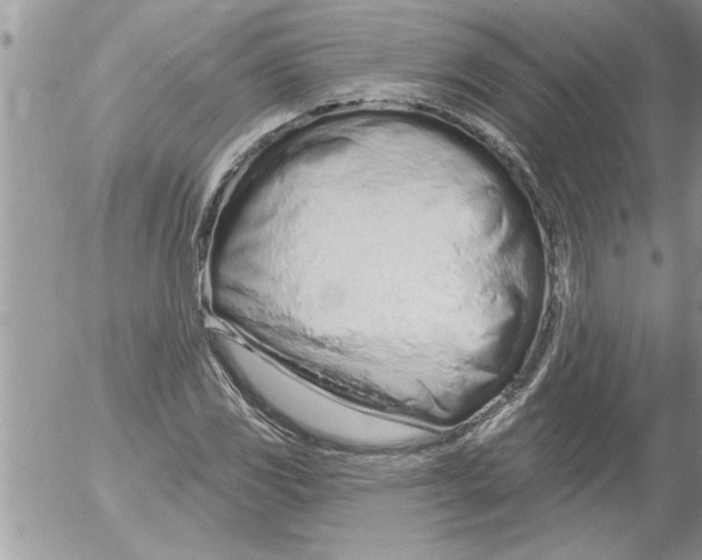 X0000052541117200507291843