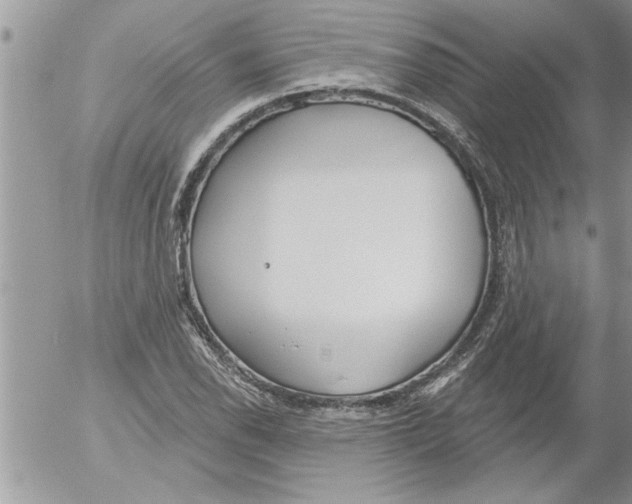 X0000052541118200507291843