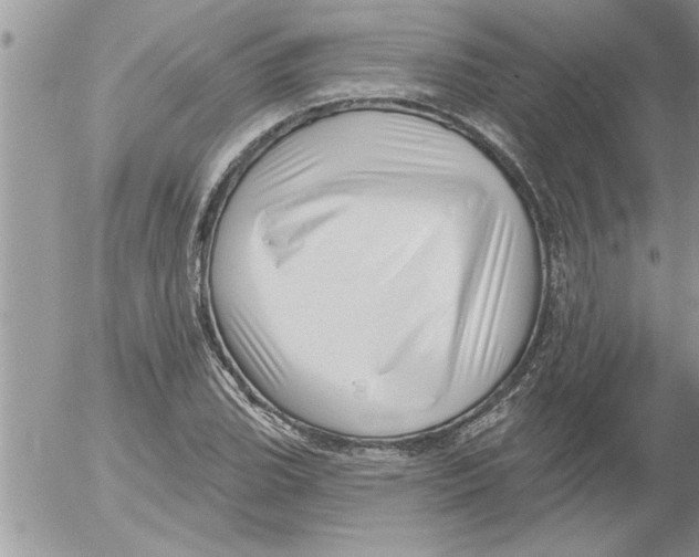 X0000052541119200507291843