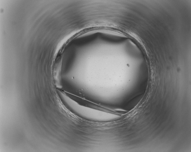 X0000052541120200507291843