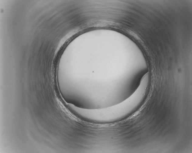 X0000052541122200507291843