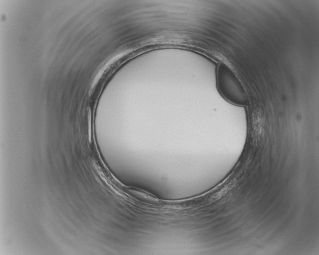 X0000052541123200507291843