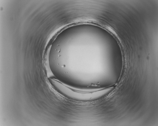 X0000052541124200507291843