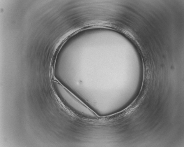 X0000052541125200507291843