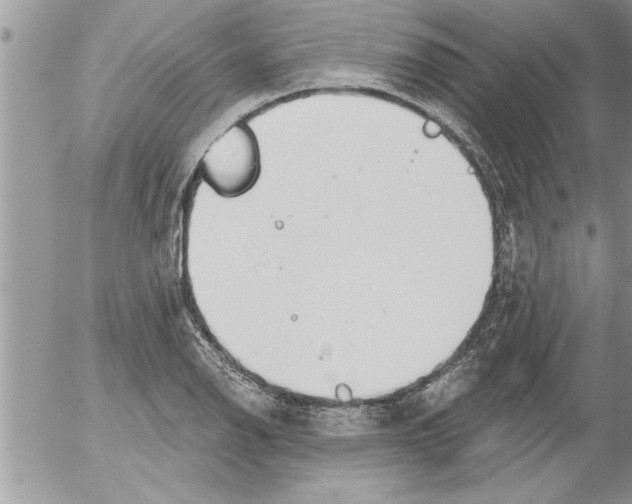 X0000052541126200507291843