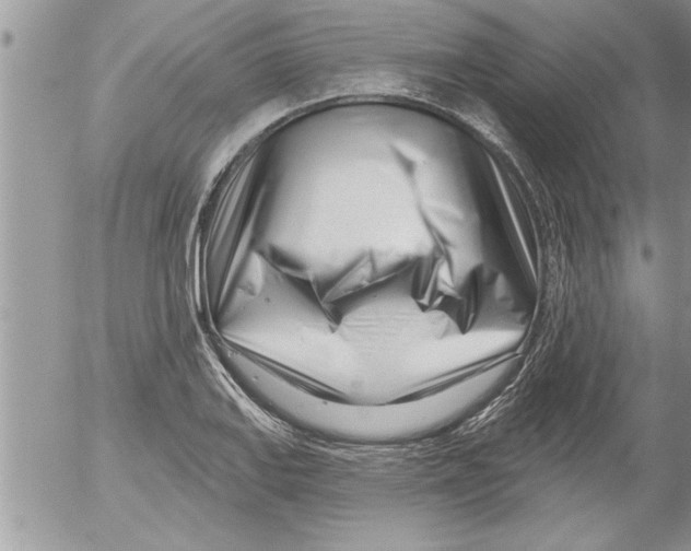 X0000052541127200507291843