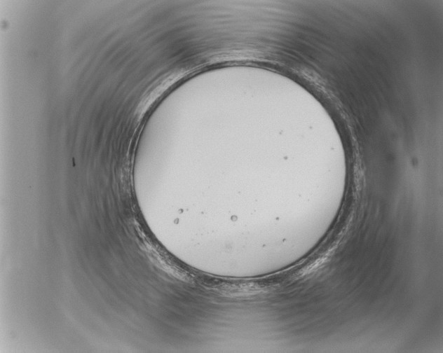 X0000052541129200507291843