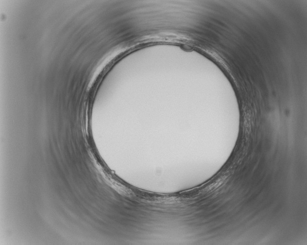 X0000052541131200507291843