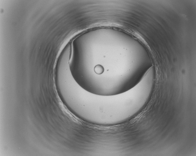 X0000052541132200507291843