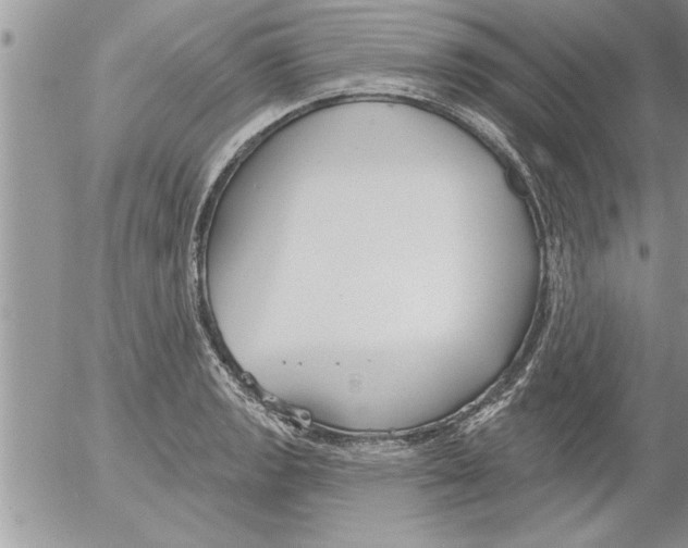 X0000052541133200507291843